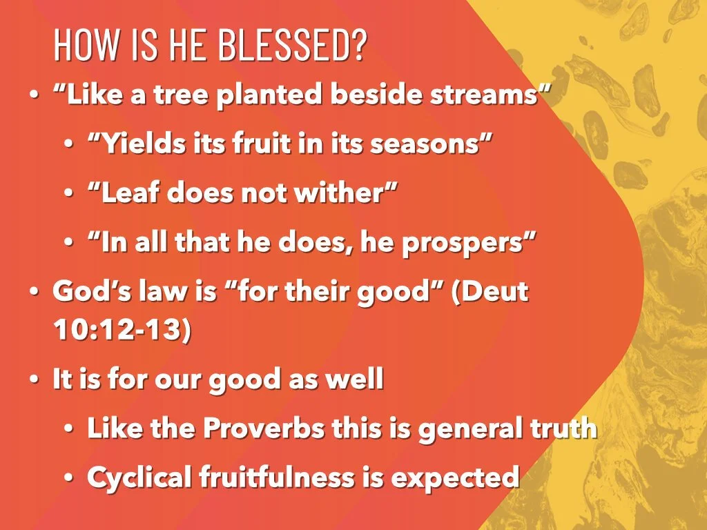 Psalm 1 - Blessed.004.jpeg