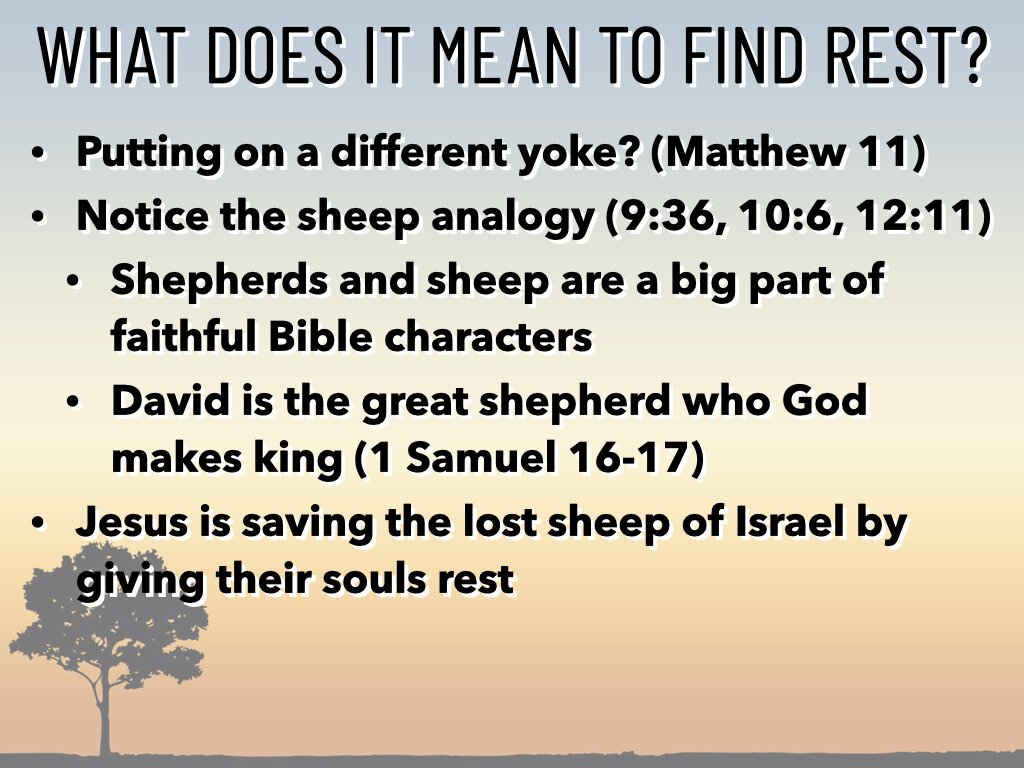Psalm 23 - Shepherding Our Souls.002.jpeg