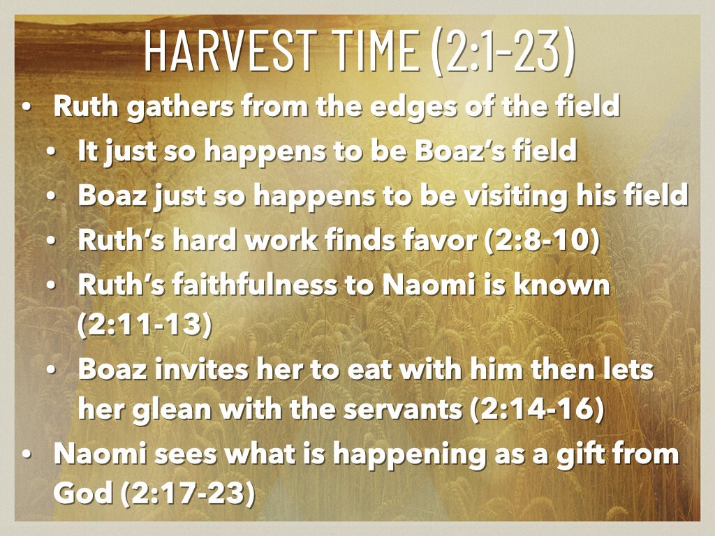Ruth - Faithfulness Redeemed.004.jpeg