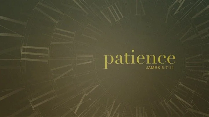 Patience (James 5:7-11) — saralandchristians.com