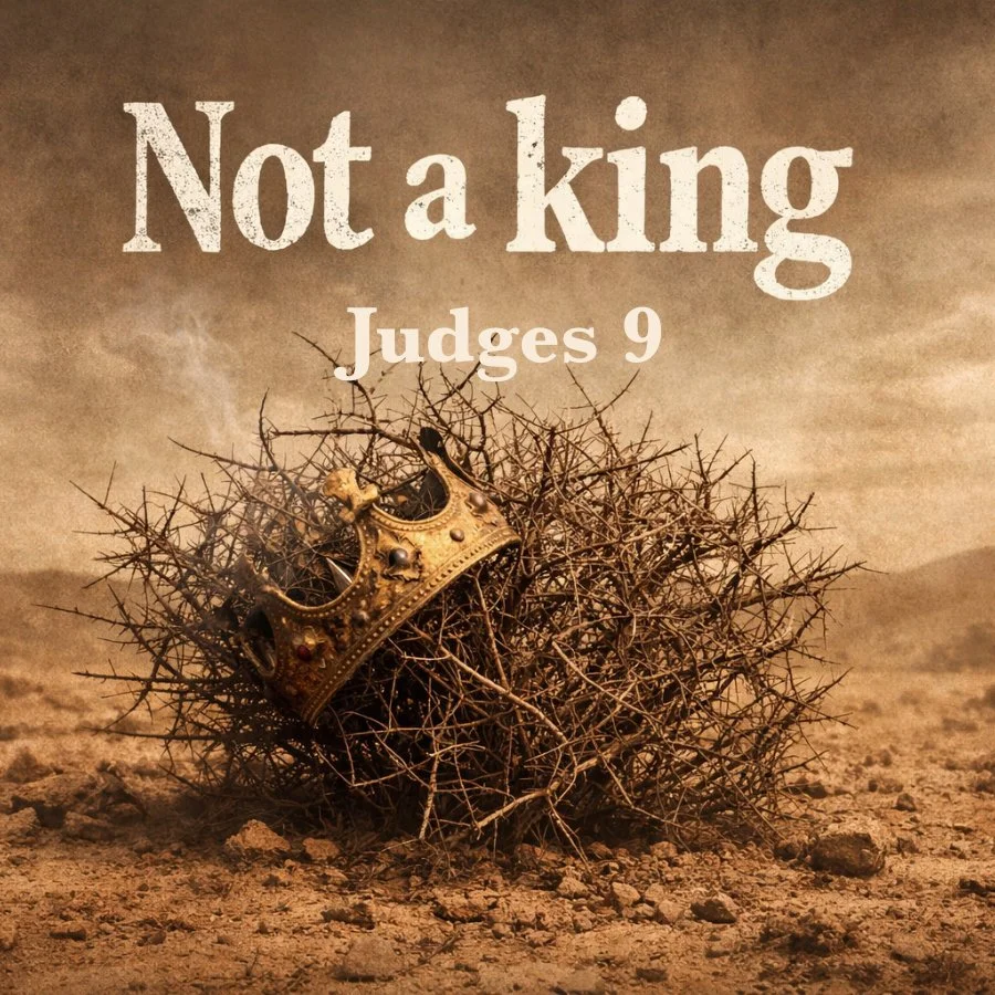 Not A King (Judges 9)