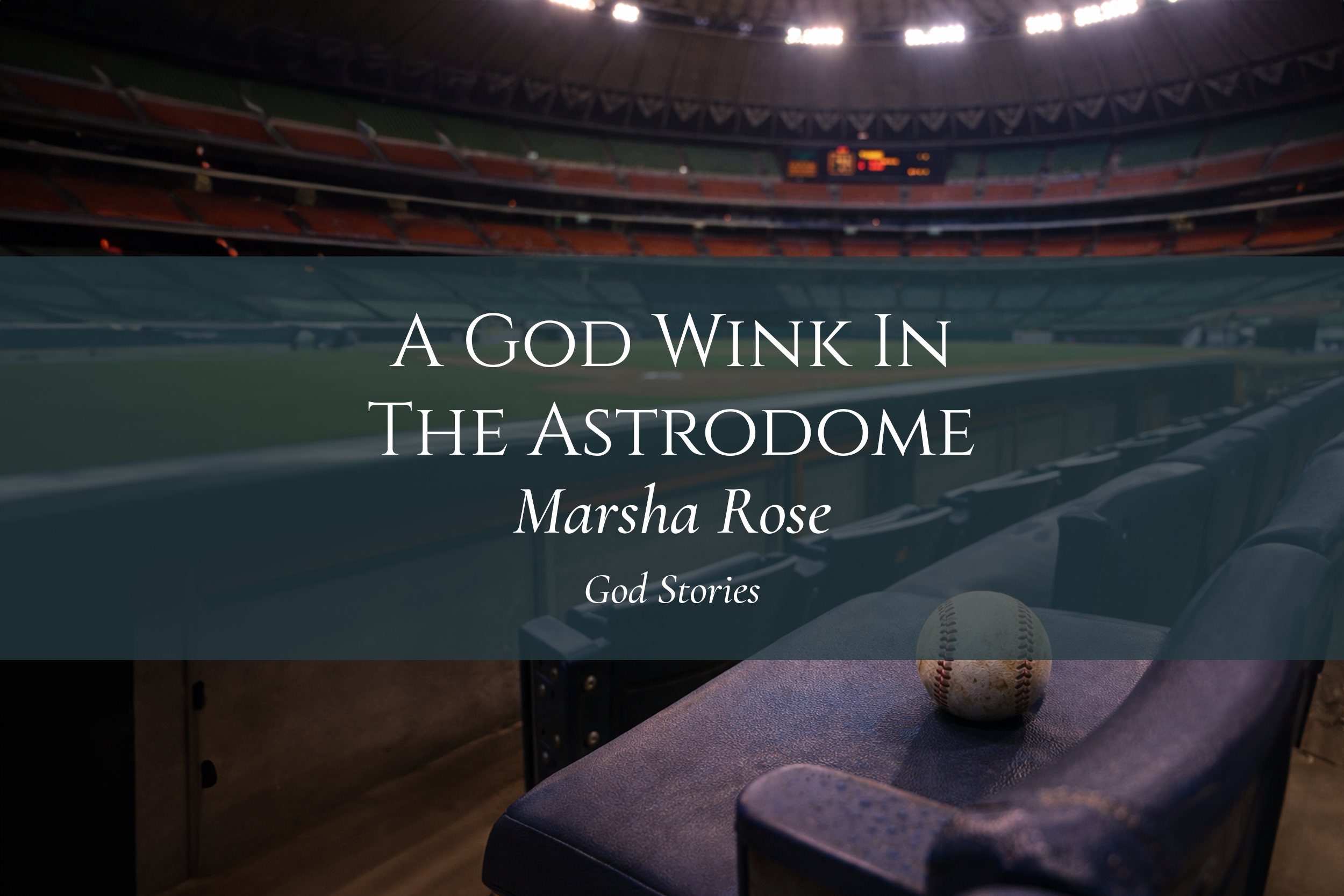 A God Wink in the Astrodome - Marsha Rose