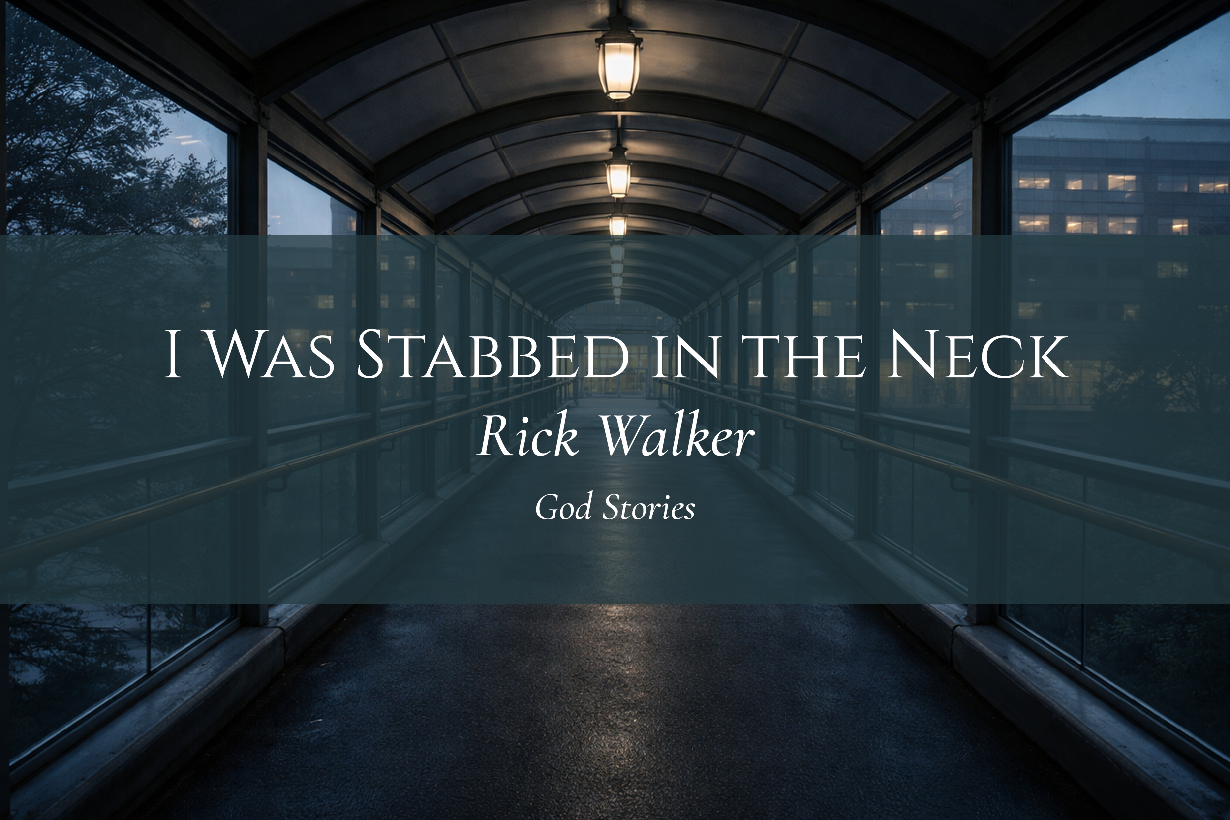 I Was Stabbed in the Neck - Rick Walker