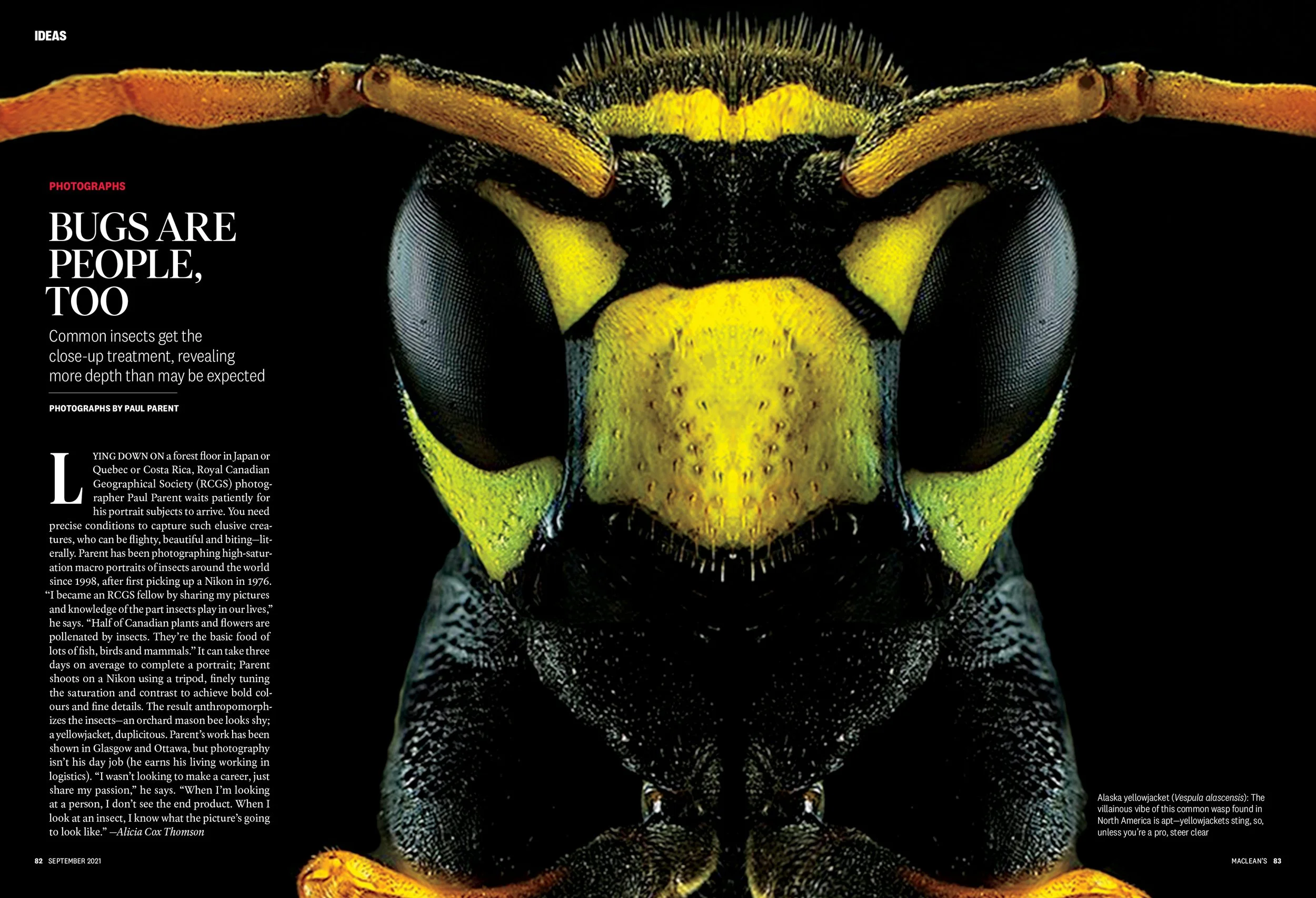 PHOTO ESSAY_BUG FACES_NEW.jpg