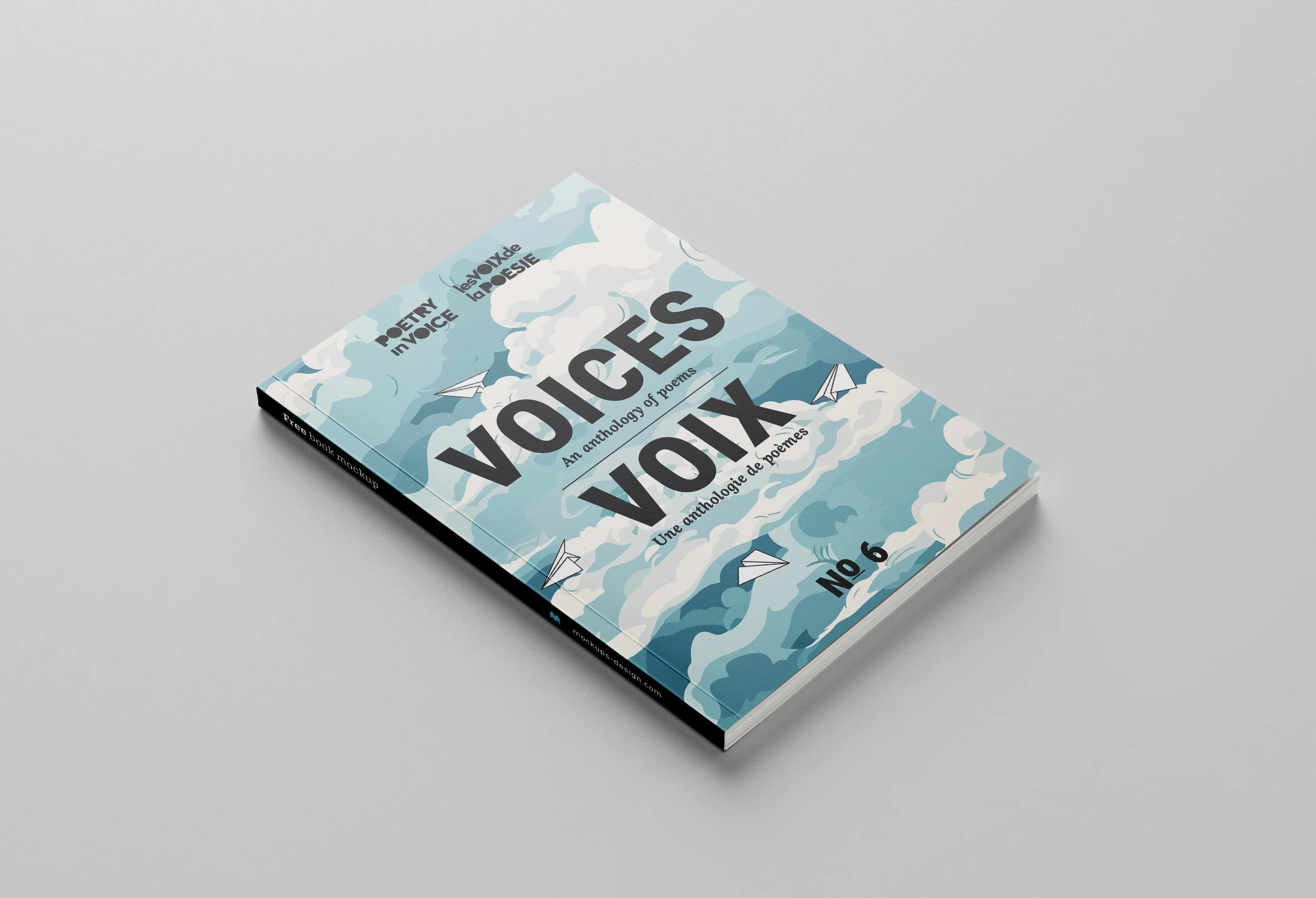 2424 VOICES_Book_cover.jpg