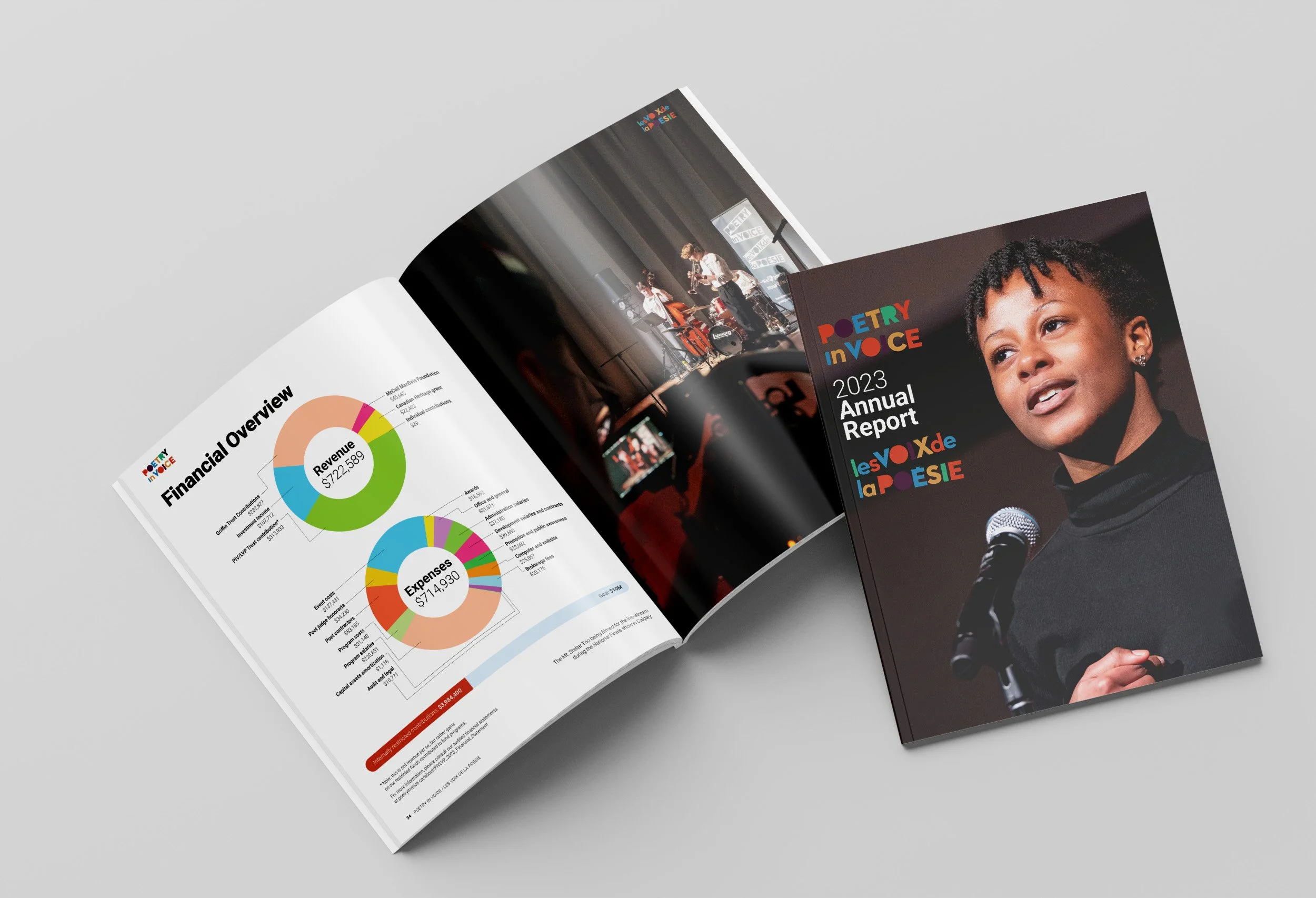 PIV_annual report_1.jpg