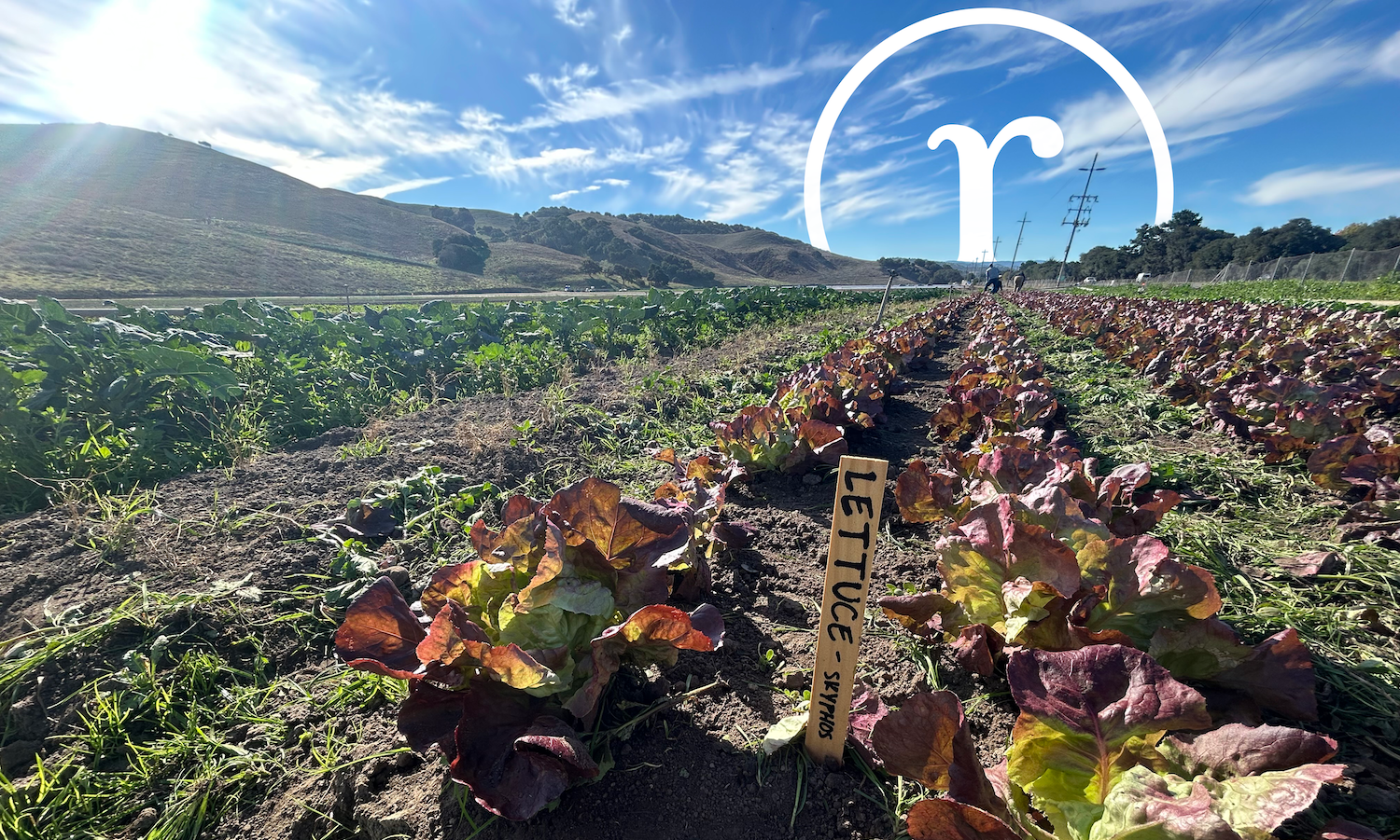 From Soil Health to Economic Growth: Regenerative California’s Vision for Transformation