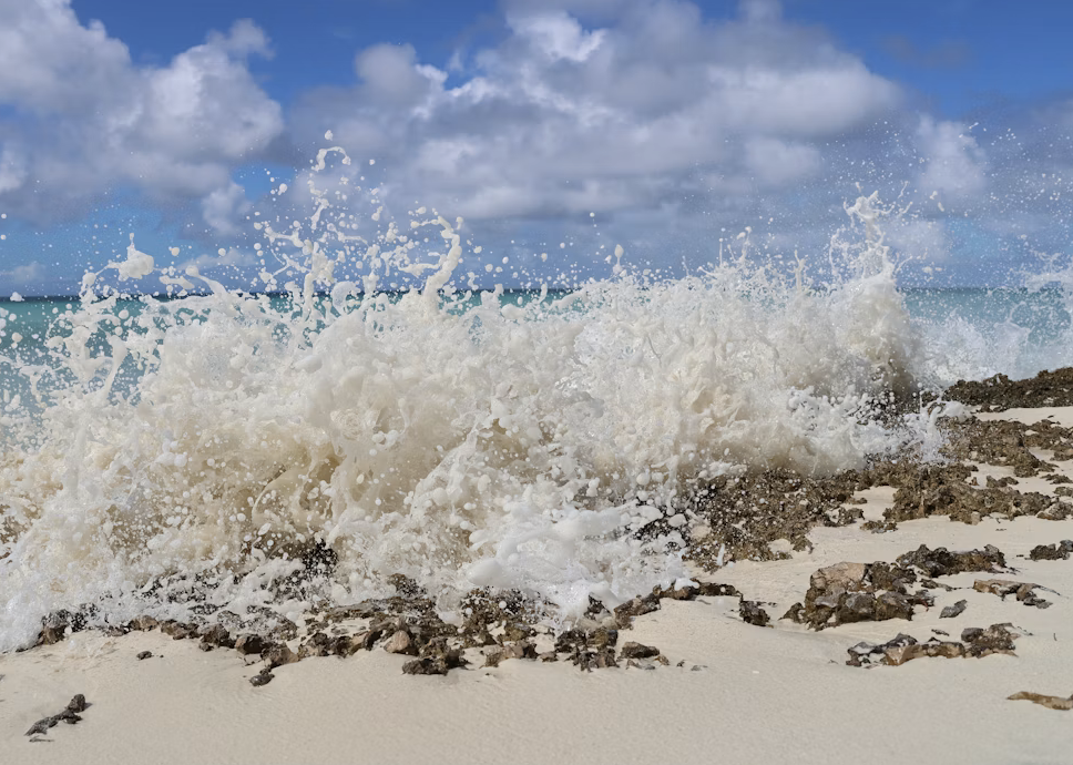 The Ocean Community vs. Offshore Oil