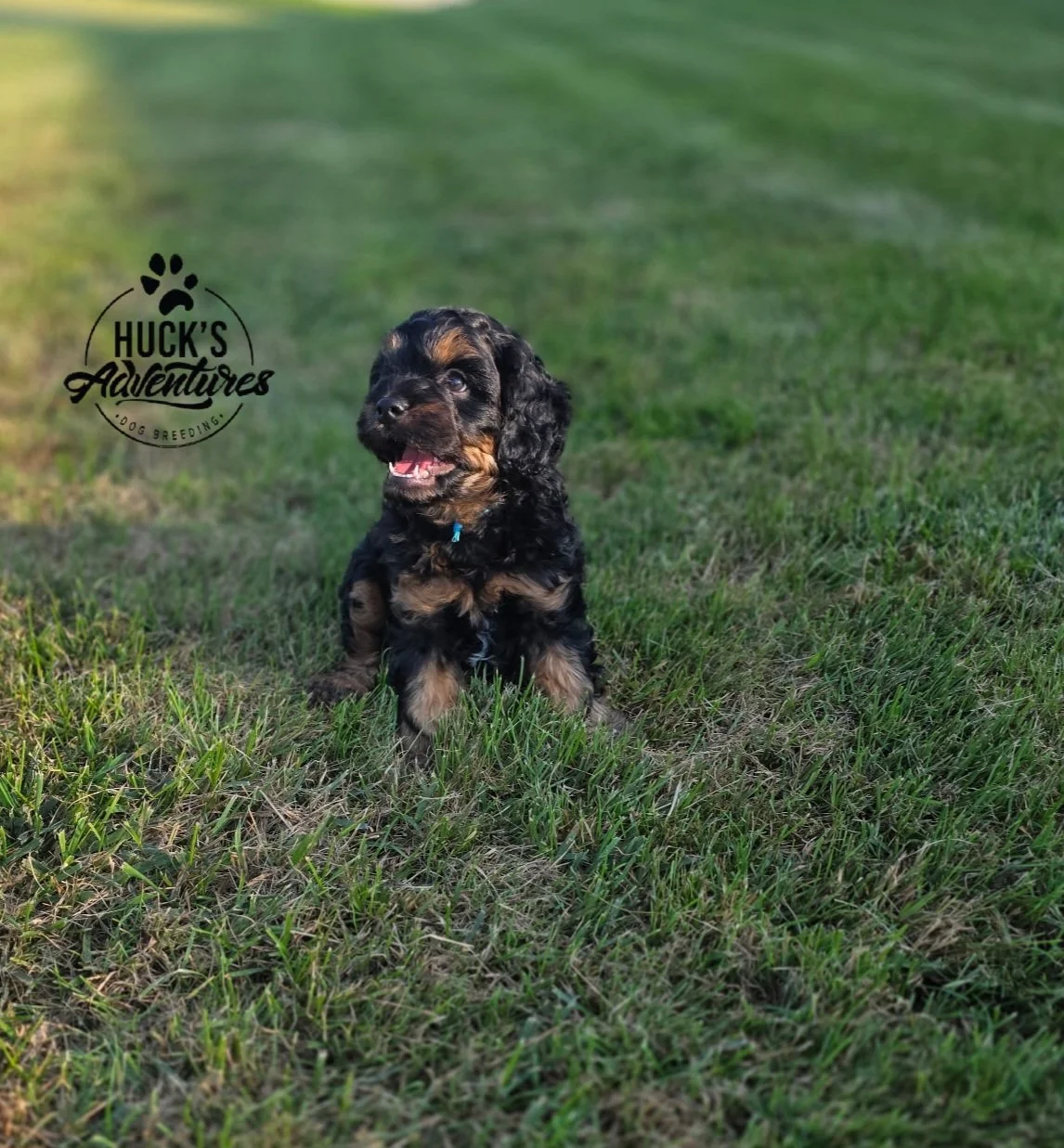 Phantom 7 Weeks