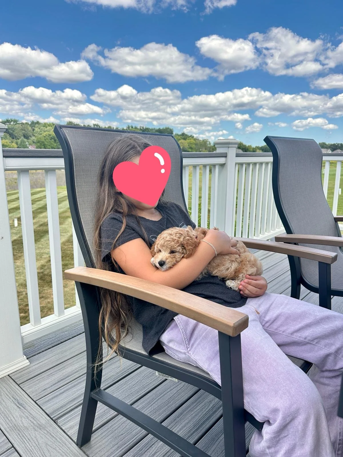 This is Red Collar (Huck's Adventures Abe) from The Patriot Litter. His new name is Huck's Adventures Biscuit. We could have not asked for a better family for him