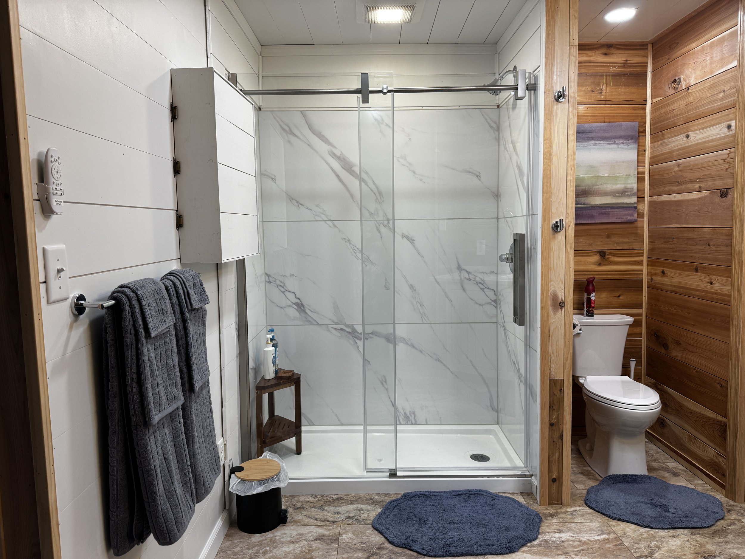 Bathroom Shower Toilet.JPG