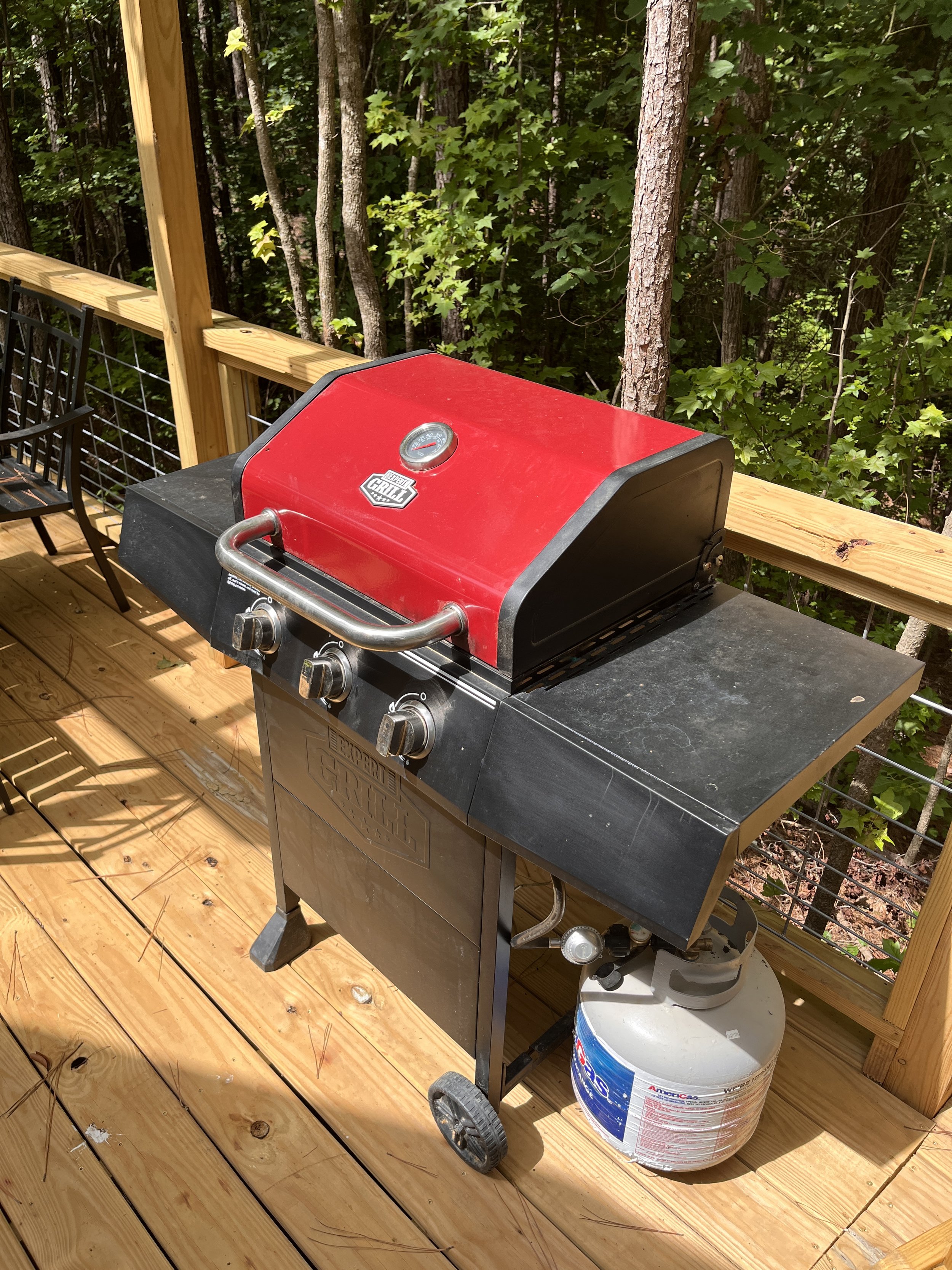 Outdoor View Grill.JPG