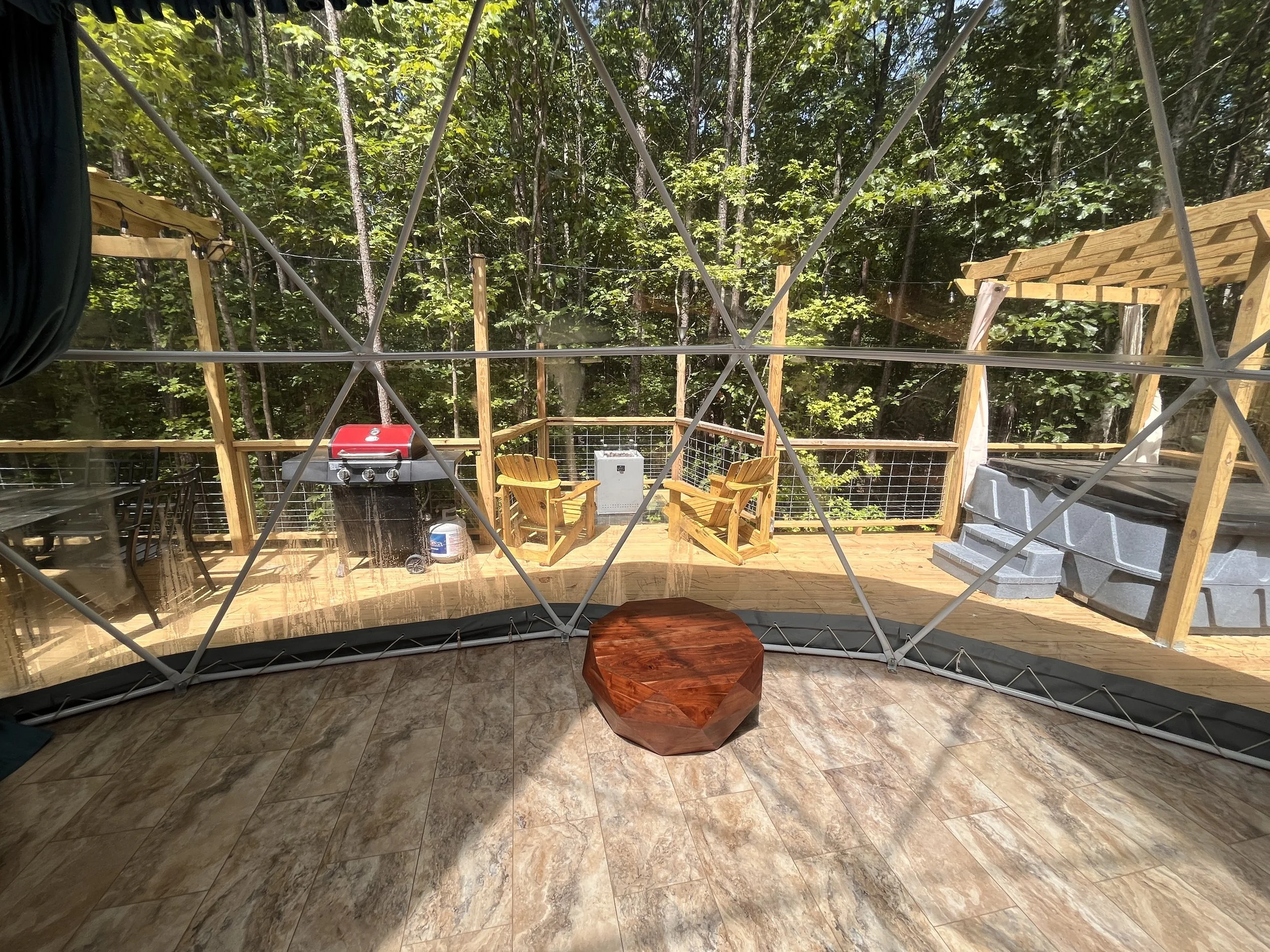 Window View Look Out Among Forest.JPG