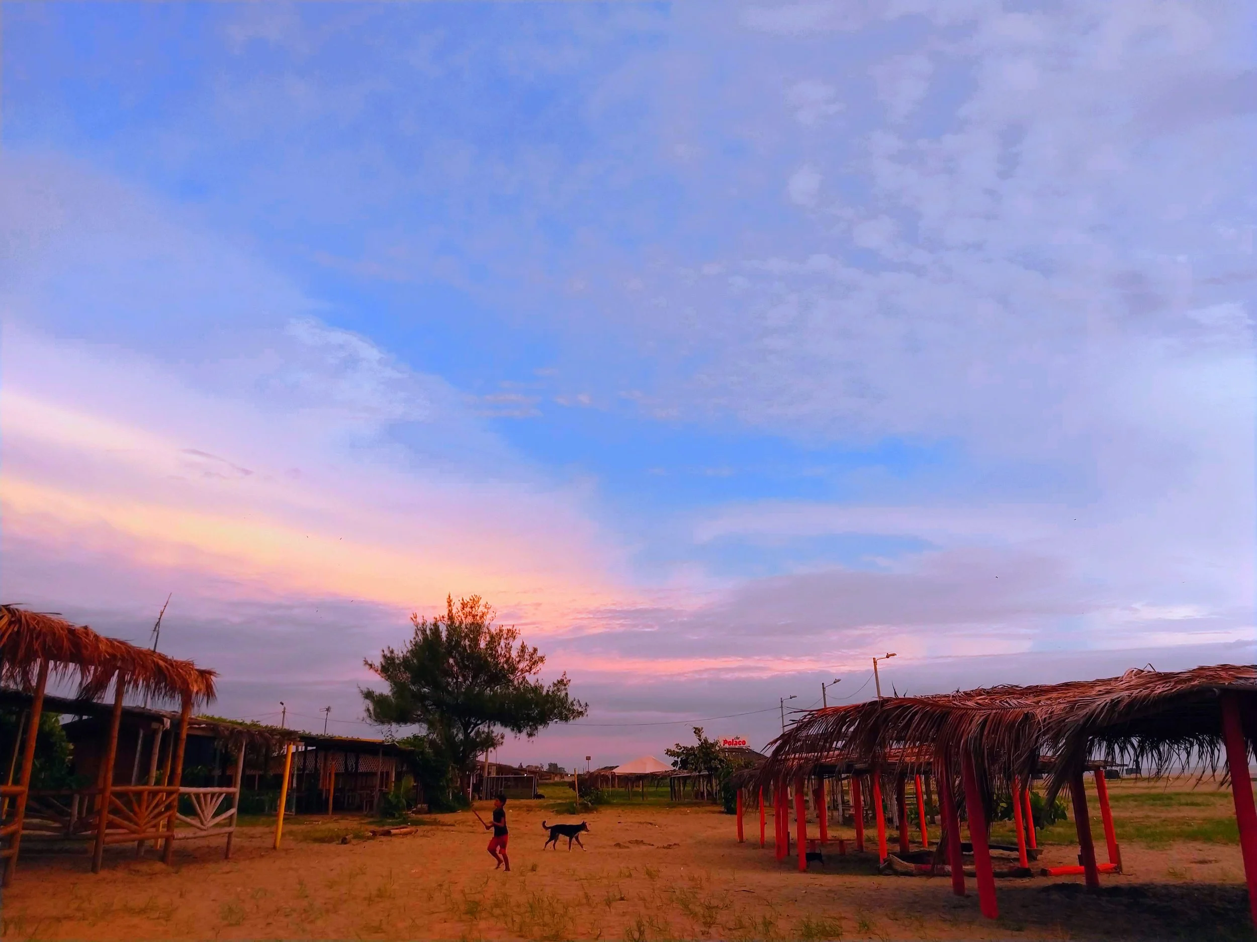 IMG_20190318_183224760 (2).jpg