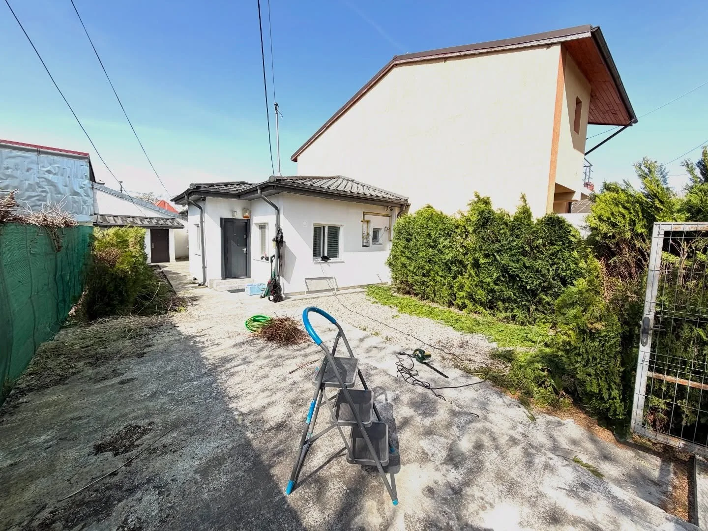 Dupa o iarna nu tocmai prietenoasa cu arbustii din curtea cabinetului astazi ne-am ocupat de toaletarea lor . Incepand de luni ne intoarcem la treaba .