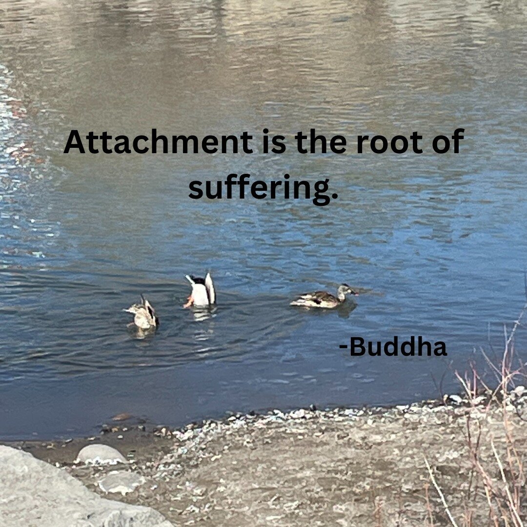 And it's so hard to not be attached. As humans we're wired for connection. It's easy to get attachment wrapped up in that. Attachment to a person, attachment to an outcome. When was the last time you really let things go and happen as they will, not 