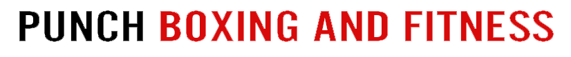 Punch Boxing &amp; Fitness | The Best Boxing Fitness in Pittsburgh