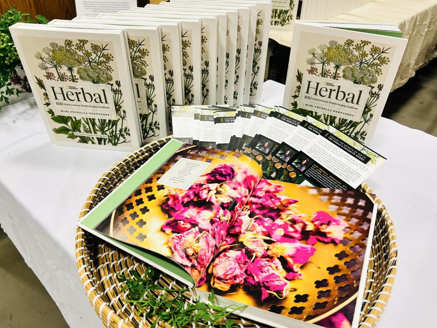 Signing National Geographic Herbal books all weekend at the @ashevilleherbfest 🍃🌺 Come get your copy! @natgeobooks @natgeo #herbbook #herbalist #medicinalherbs #nationalgeographicherbal #100herbs #festival #herbfestival