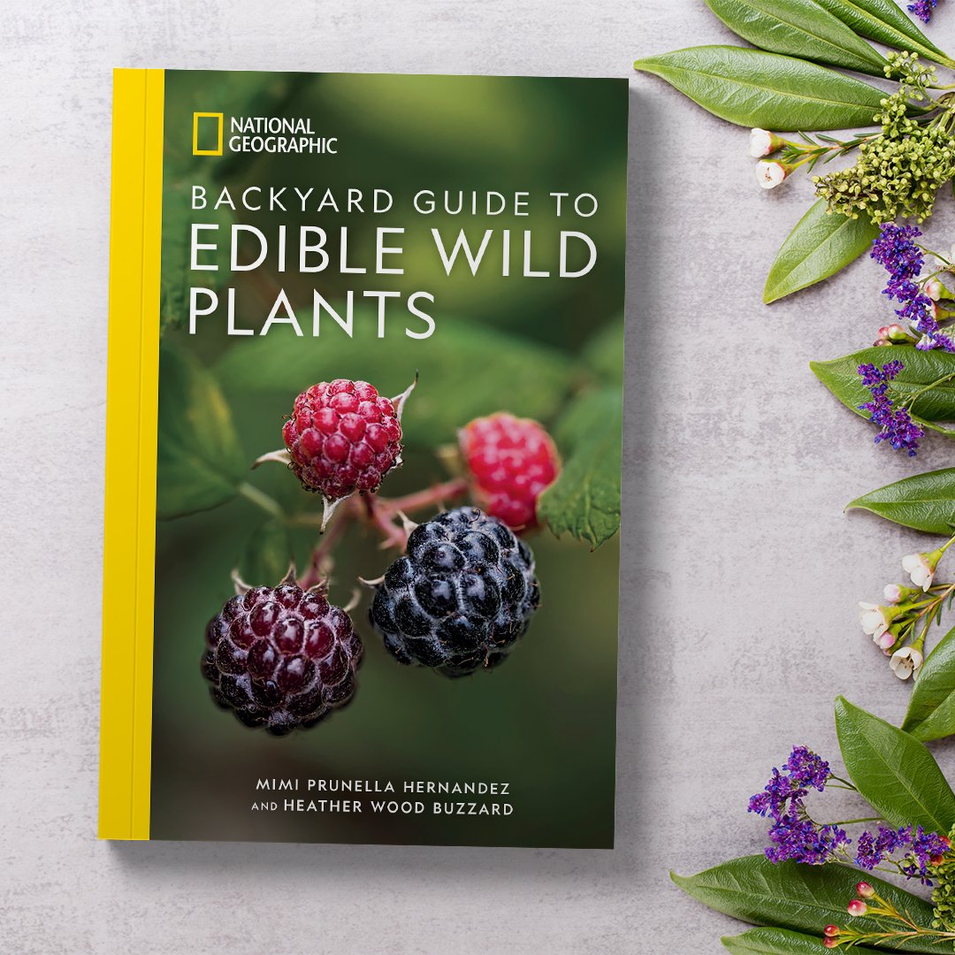 BackyardGuideEdiblePlants-LifestyleAsset-01-9289.jpg