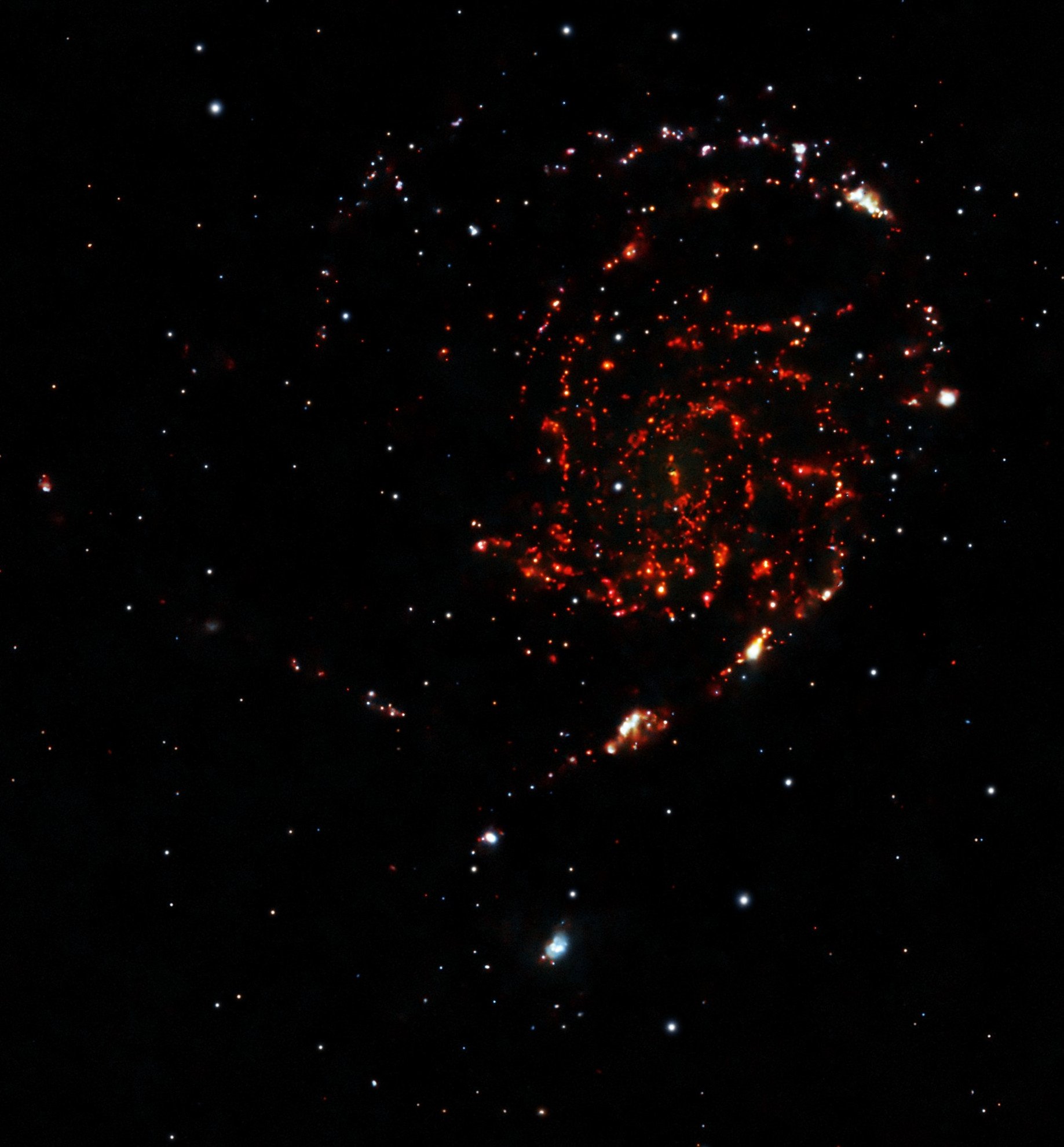 m101narrow.jpg