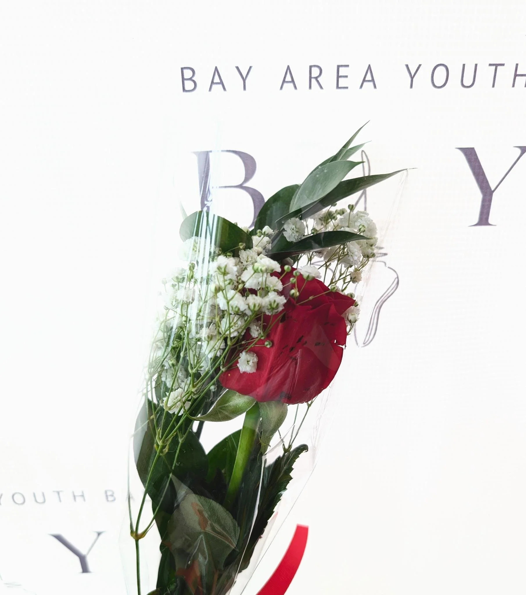 Single Flower (Preorder Only)