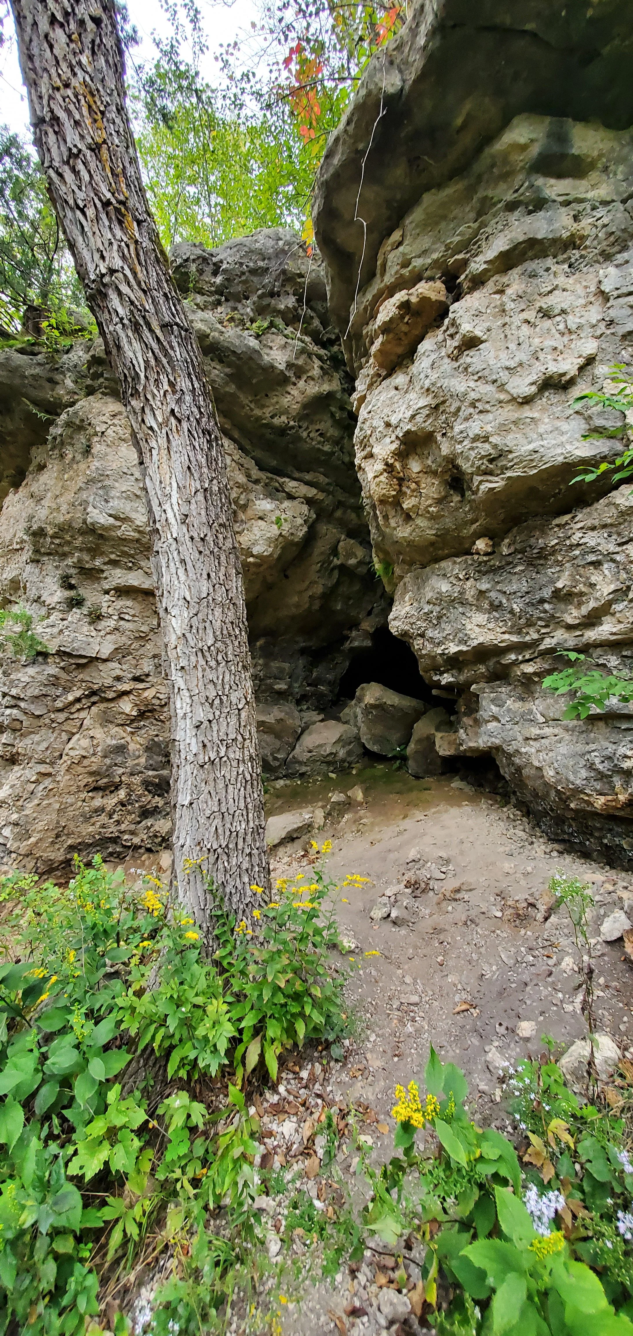 A narrow dirt pathway leading into a small cave or opening in a rocky hillside, surrounded by green plants and a tall tree with rough, textured bark. Phot taken at Beaver Creek Valley state park.