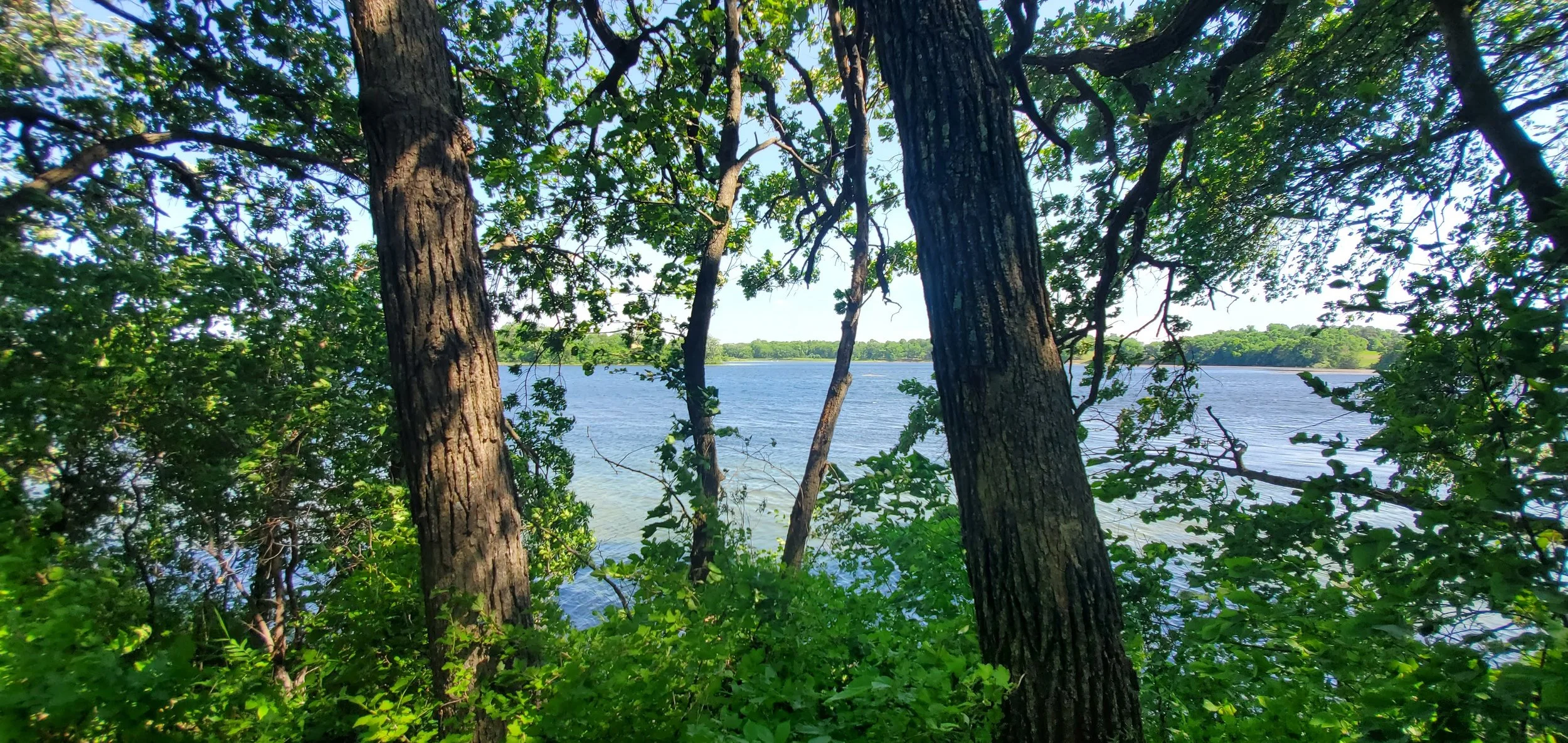 View through trees overlooking a lake with clear water and green foliage at Monson Lake state park.