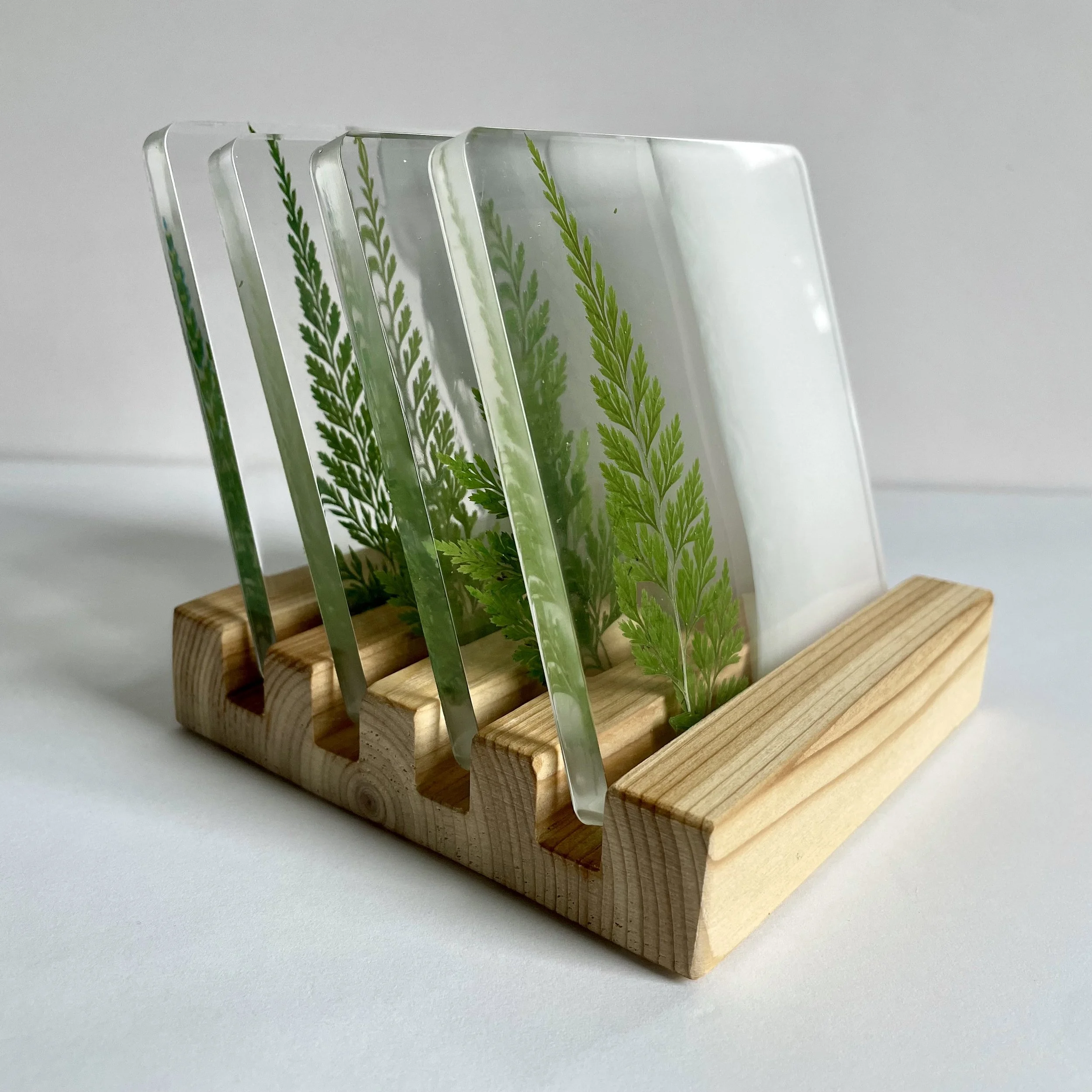 Square Coaster Set w/ Real Wood Base / Winter Fern (4)