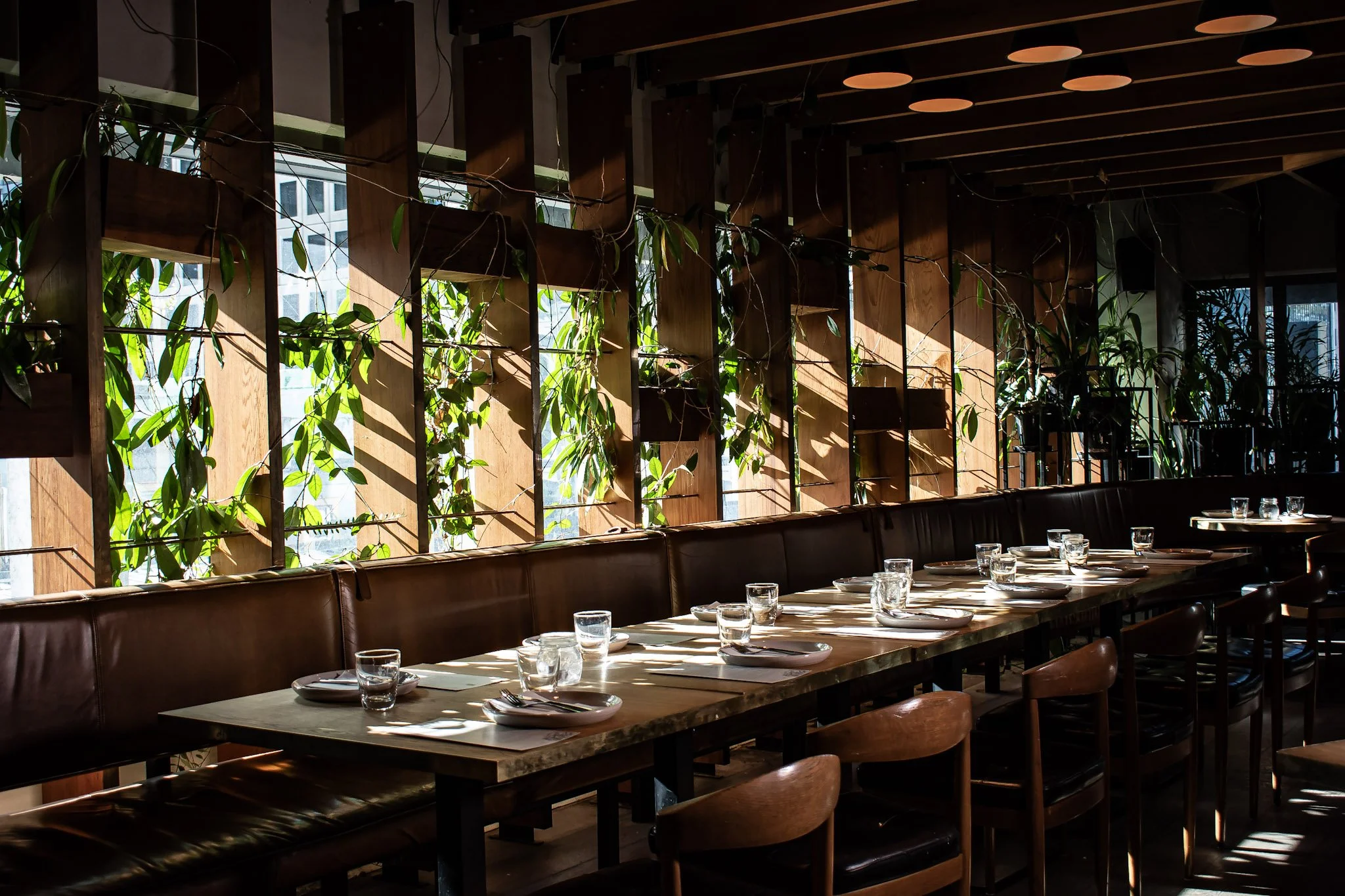 A table set for group dining in the leafy timber restaurant of the Glass Goose