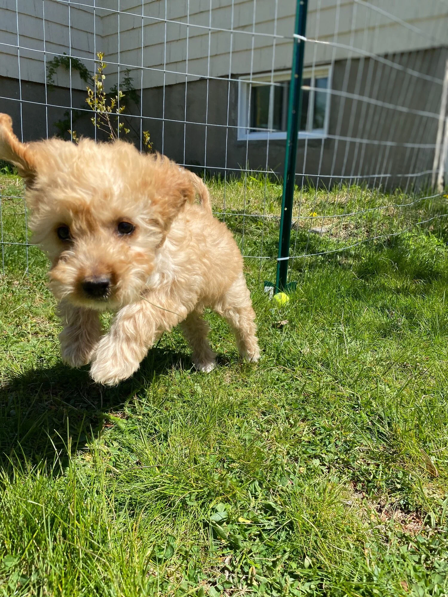 Episode 87: Global Roll Call, Part 2