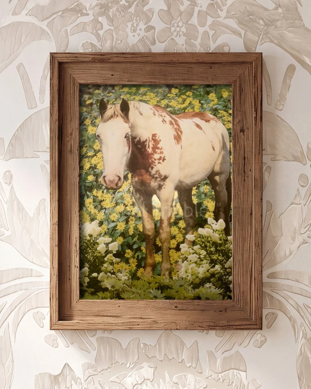 Enchanted Meadow.jpg