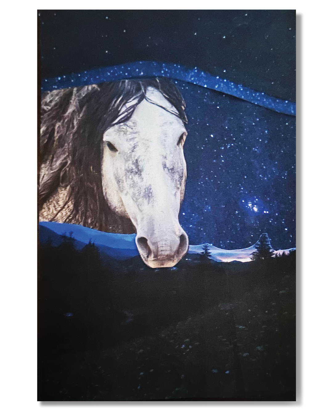 Horse Card 3.png