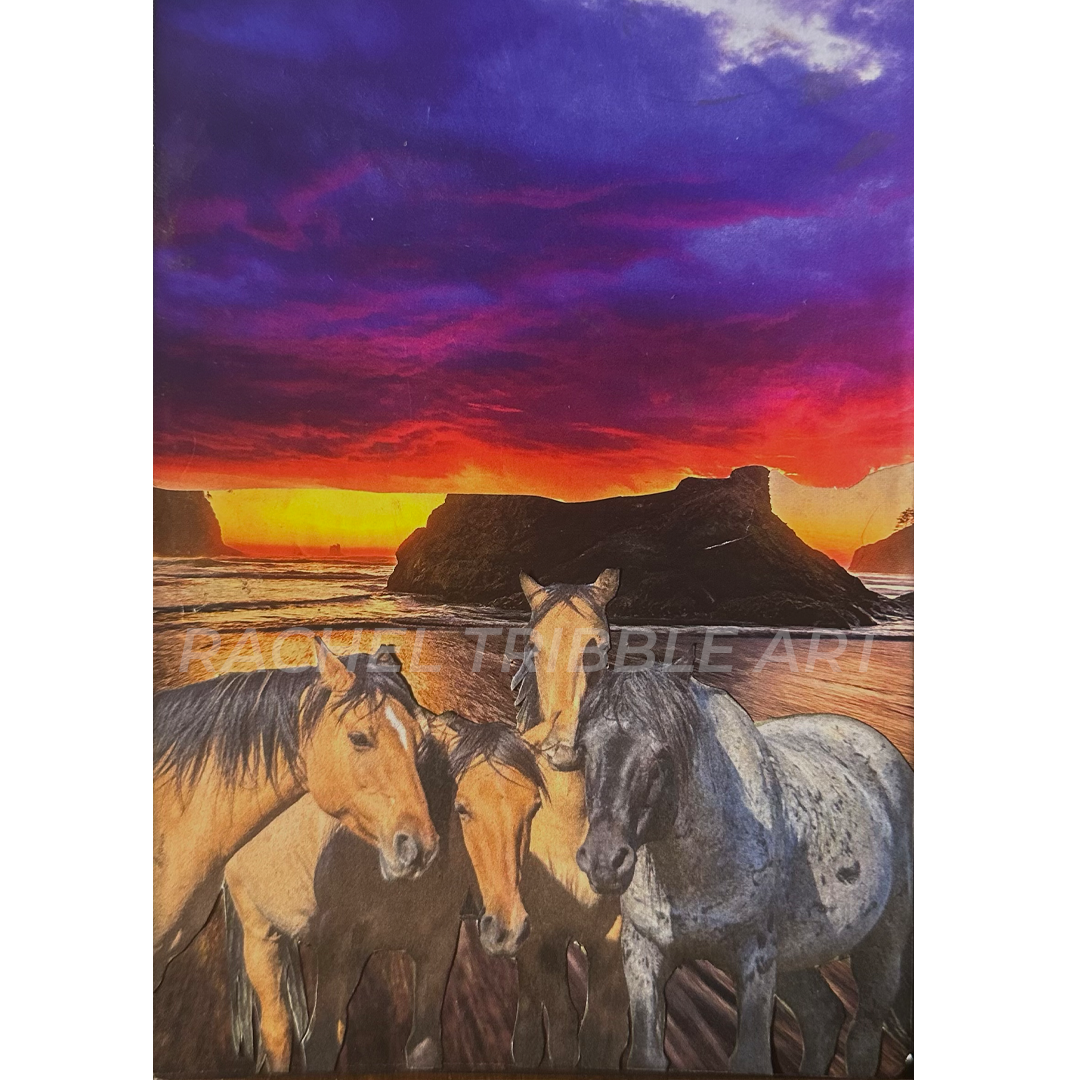 Untitled Sunset.png