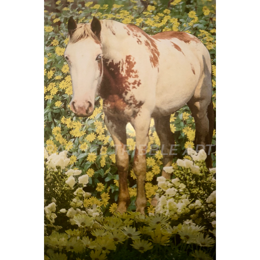 Enchanted Meadow.png