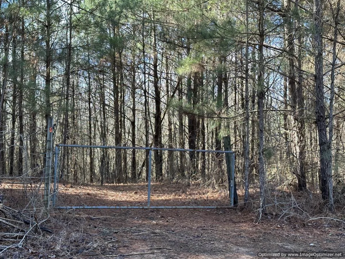 Newton County 18.7 +/ acres — Pursuit Properties