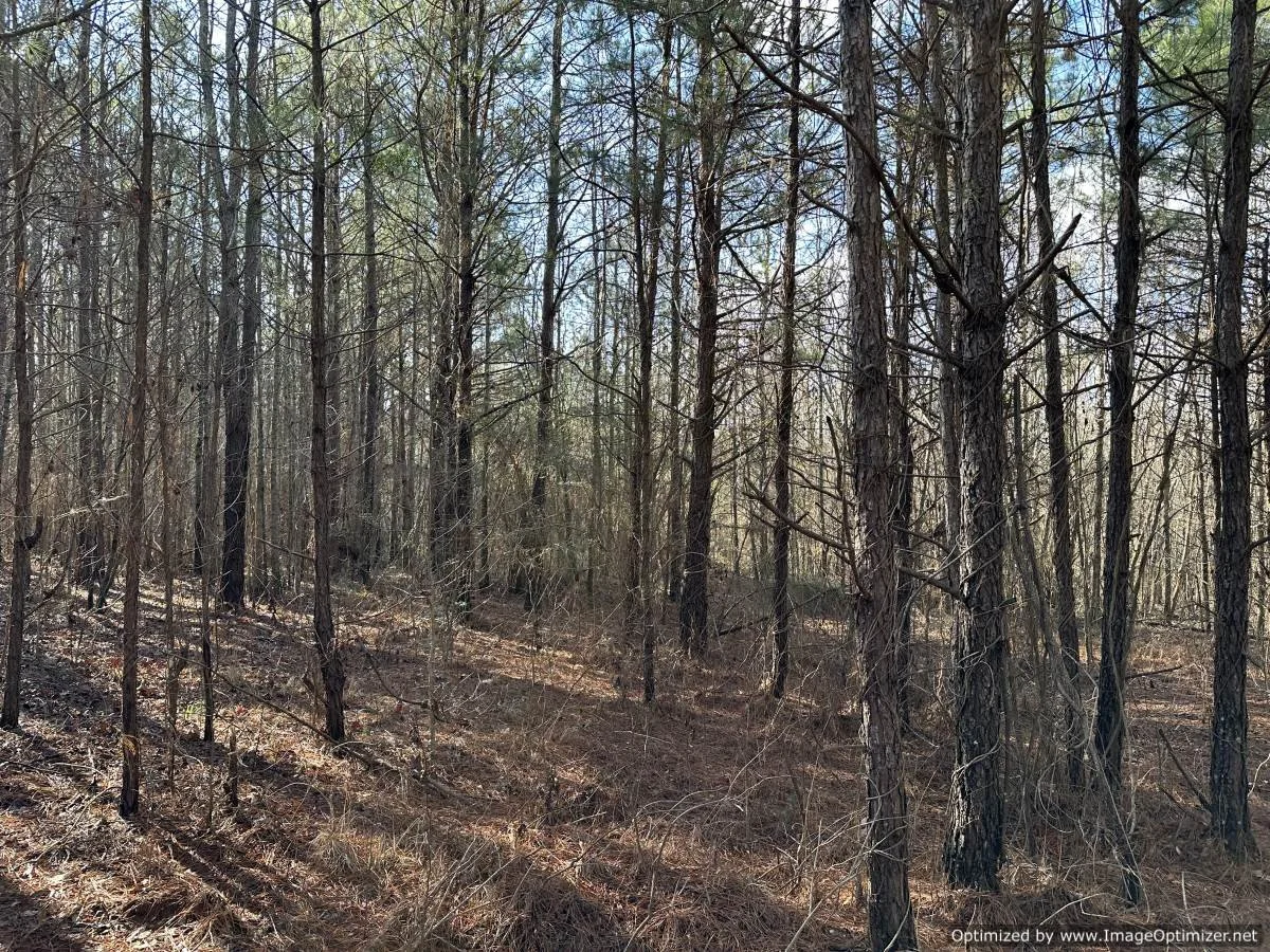 Newton County 18.7 +/ acres — Pursuit Properties