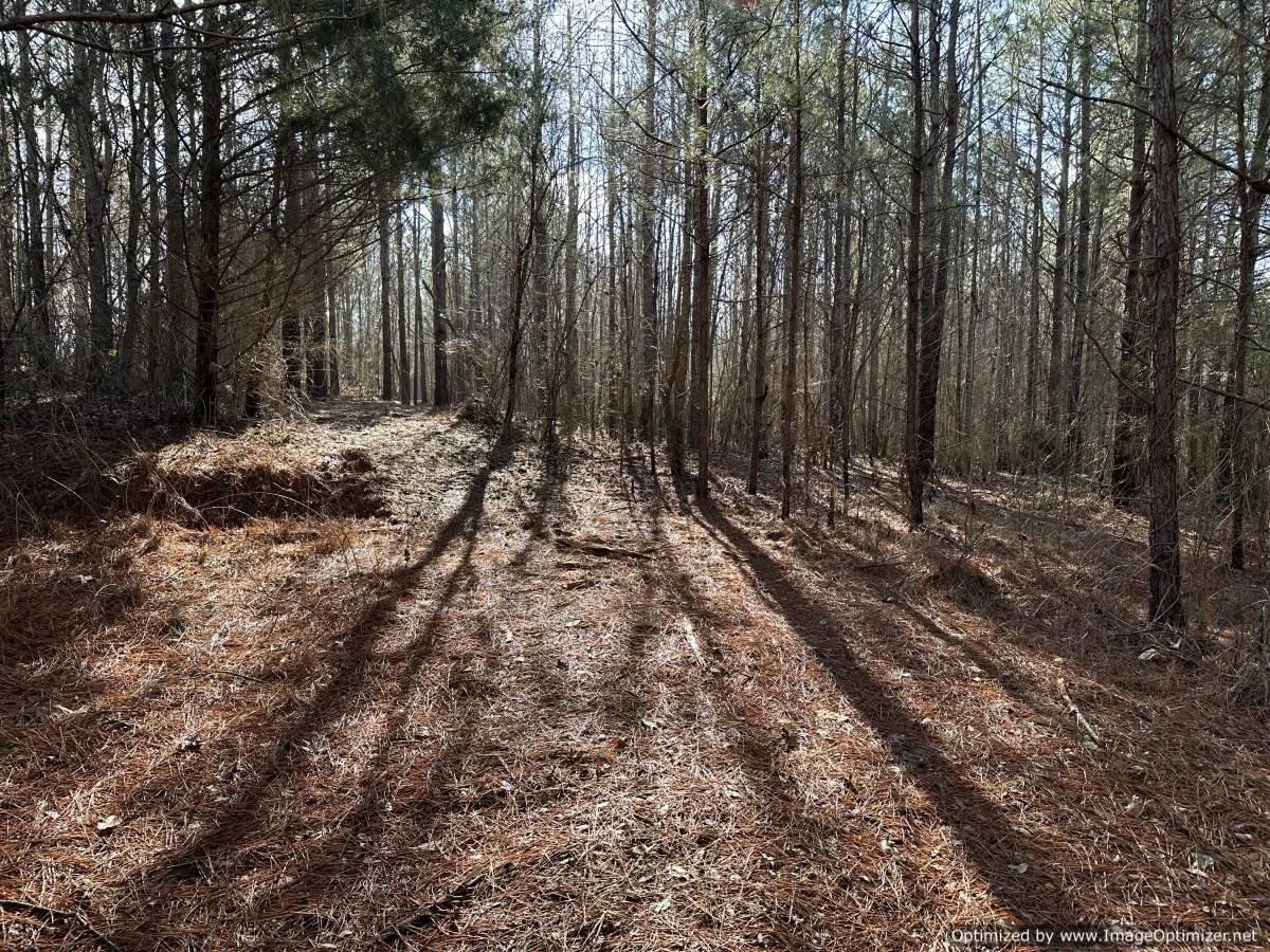 Newton County 18.7 +/ acres — Pursuit Properties