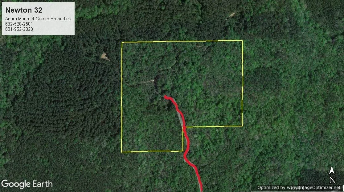 Newton County 32 +/ acres in decatur ms — Pursuit Properties