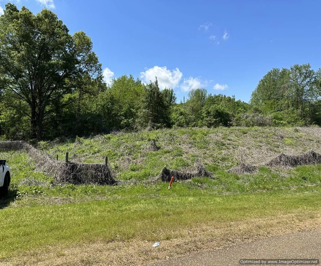 Desoto County 59.59 acres on church rd — Pursuit Properties