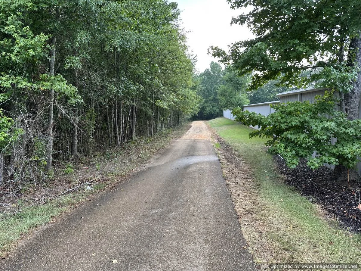 Pike County 28.5 acres on stovall ln Summit, MS — Pursuit Properties