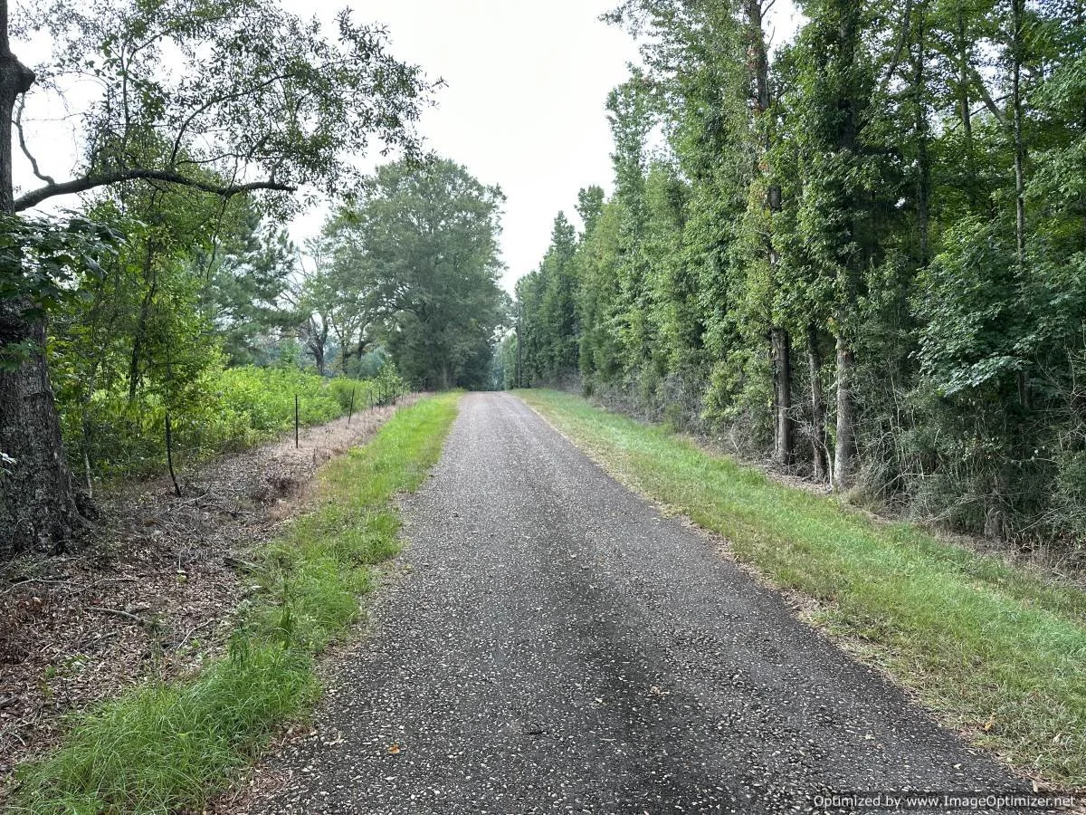 Pike County 28.5 acres on stovall ln Summit, MS — Pursuit Properties