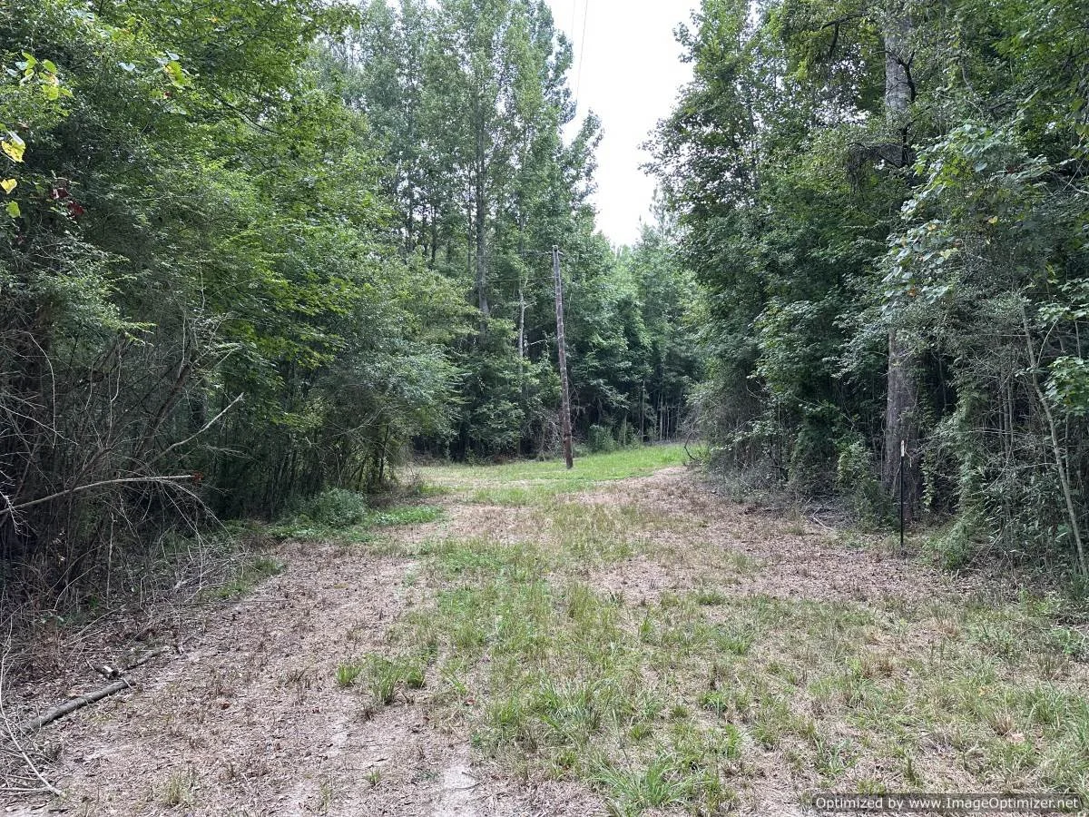 Pike County 28.5 acres on stovall ln Summit, MS — Pursuit Properties