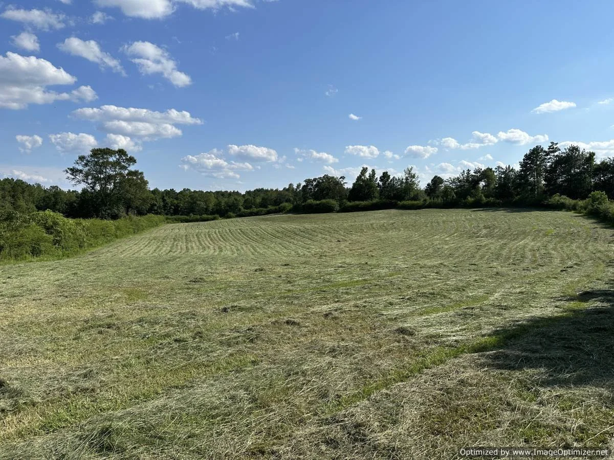 Pike County 40 acres on hartwell rd Summit, MS — Pursuit Properties