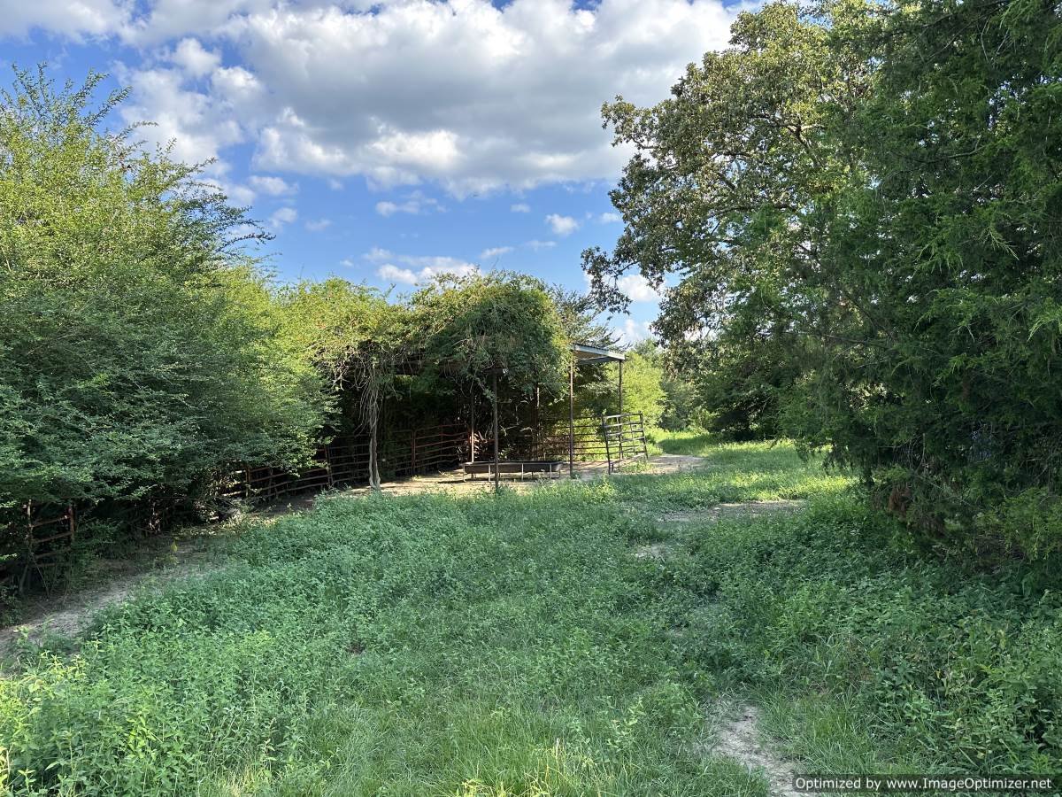 Pike County 40 acres on hartwell rd Summit, MS — Pursuit Properties