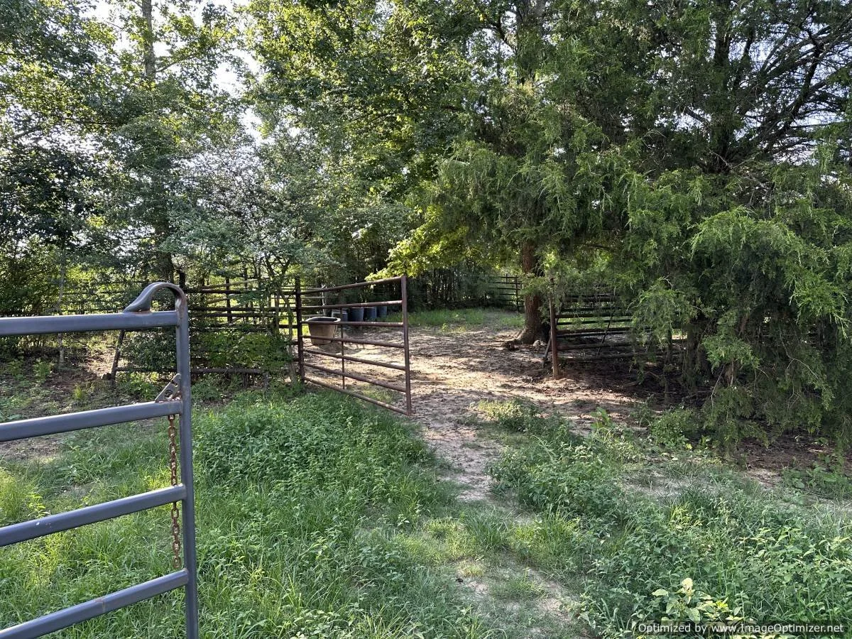 Pike County 40 acres on hartwell rd Summit, MS — Pursuit Properties