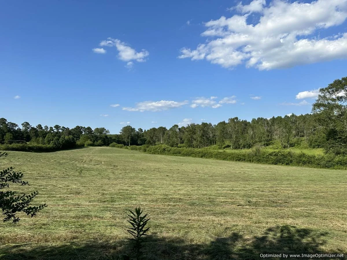 Pike County 40 acres on hartwell rd Summit, MS — Pursuit Properties