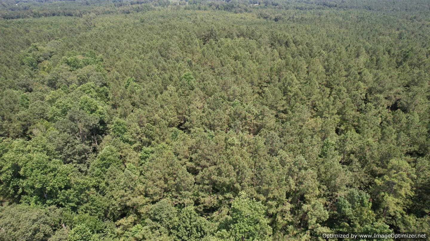 Newton County 58.5 +/ Acres Liberty Rd Little Rock, MS — Pursuit