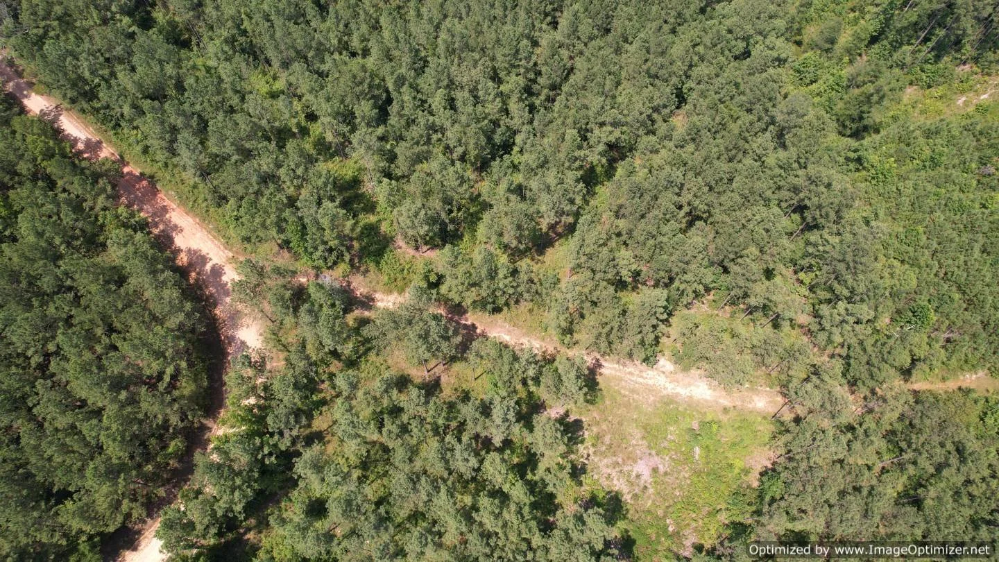 Newton County 58.5 +/ Acres Liberty Rd Little Rock, MS — Pursuit