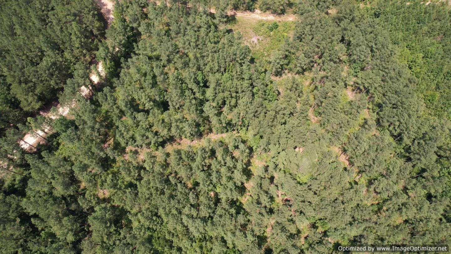 Newton County 58.5 +/ Acres Liberty Rd Little Rock, MS — Pursuit