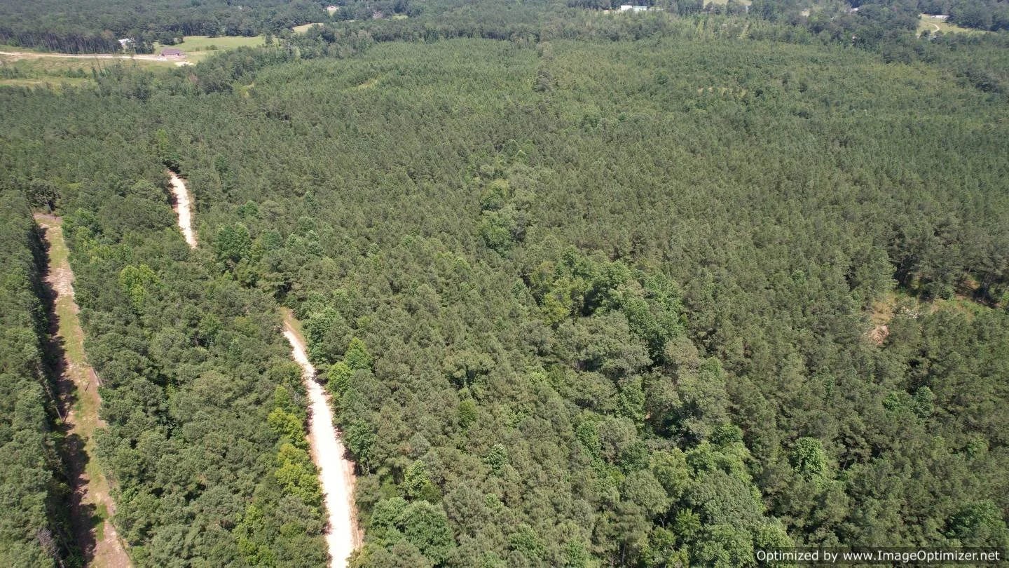 Newton County 58.5 +/ Acres Liberty Rd Little Rock, MS — Pursuit